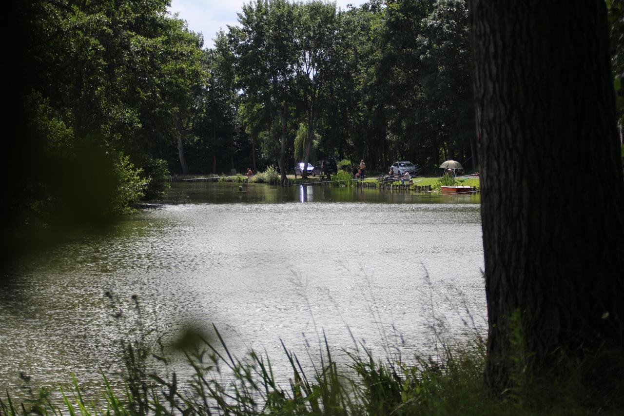 Hotel T Bed & De Tafel Avelgem Zewnętrze zdjęcie